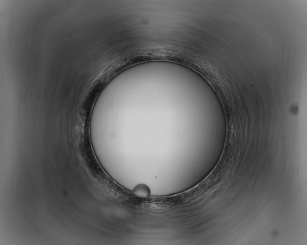 X0000100840739200806200738