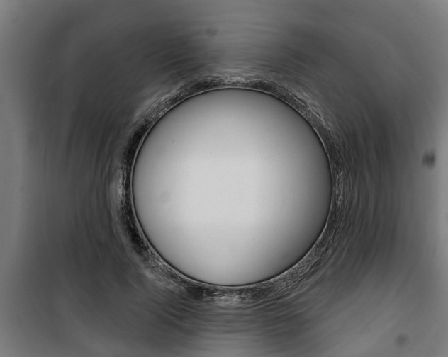 X0000100840740200806200738