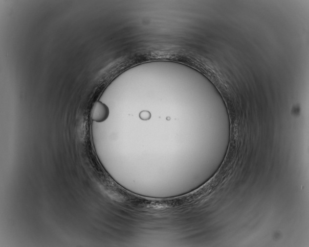 X0000100840741200806200738