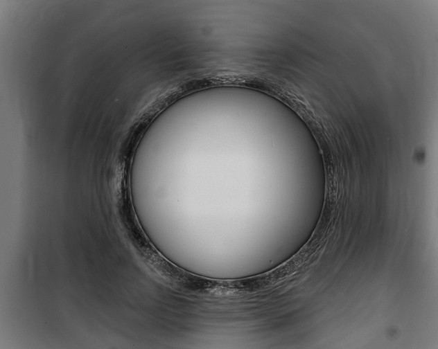 X0000100840742200806200738