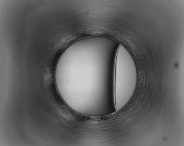 X0000100840743200806200738