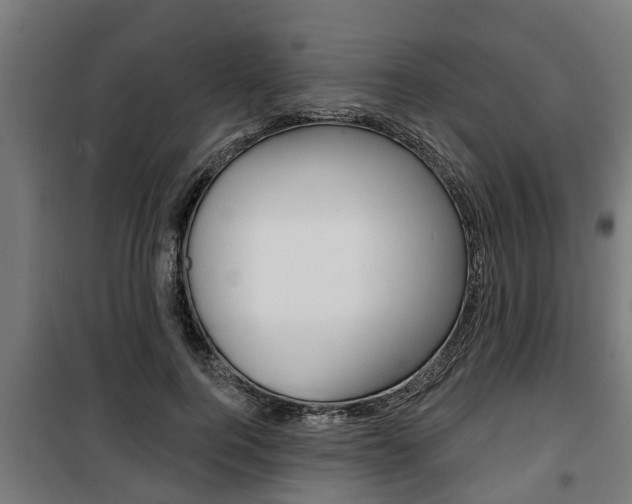 X0000100840744200806200738