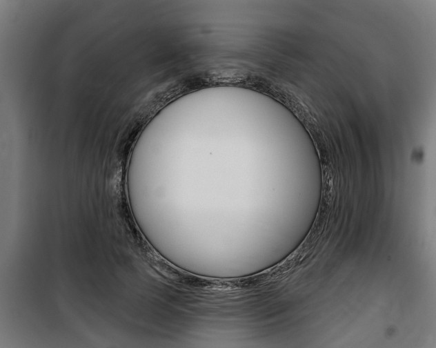 X0000100840745200806200738