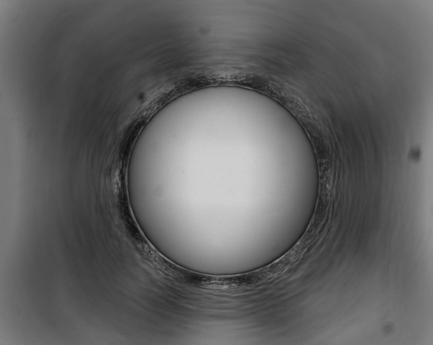 X0000100840746200806200738