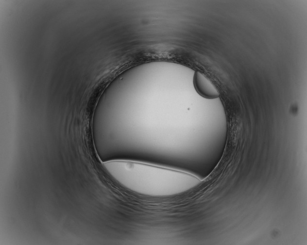 X0000100840747200806200738