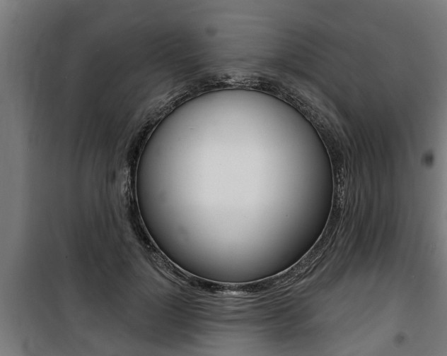 X0000100840748200806200738