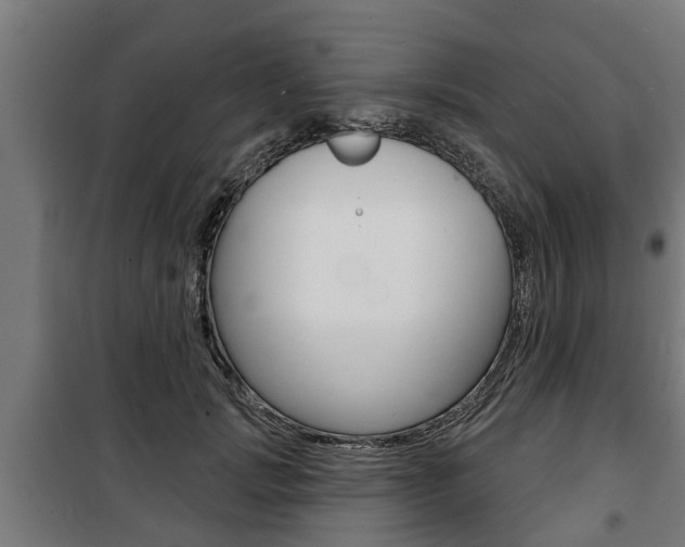 X0000100840749200806200738