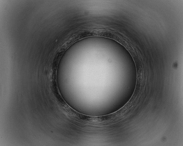 X0000100840750200806200738