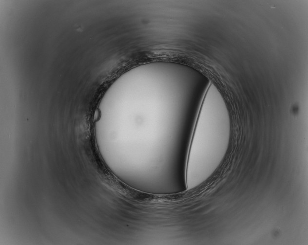 X0000100840751200806200738