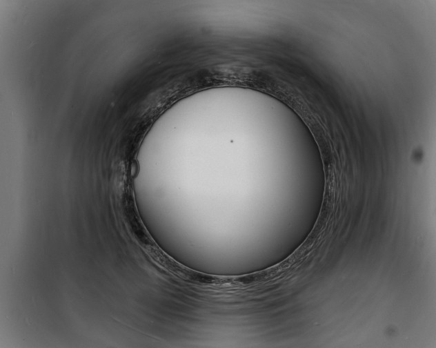 X0000100840752200806200738