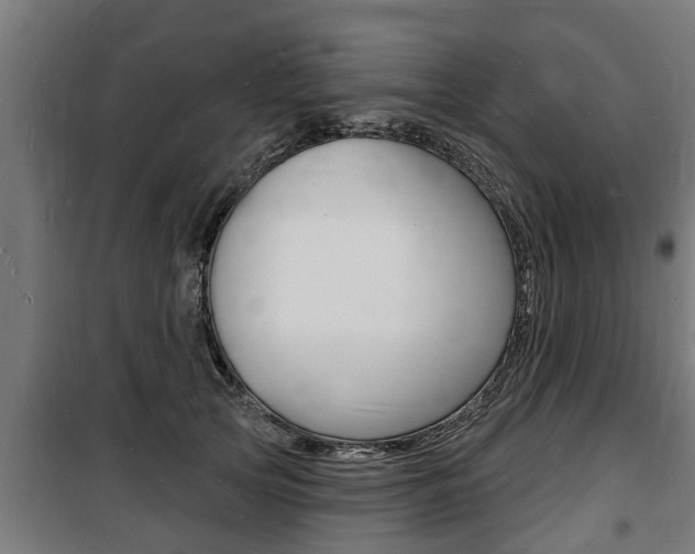 X0000100840753200806200738