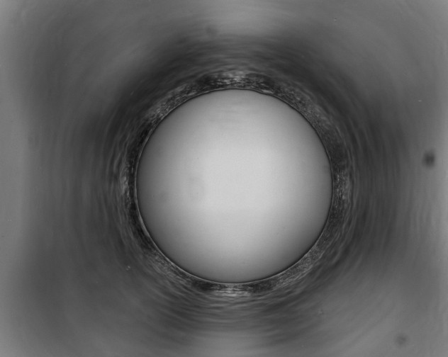 X0000100840754200806200738