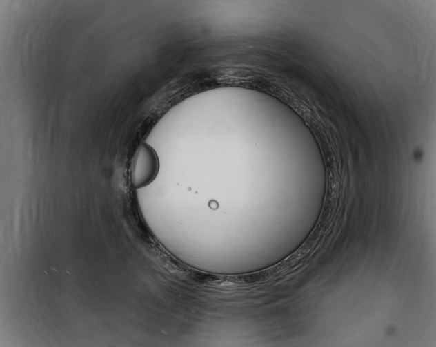 X0000100840755200806200738