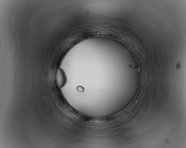 X0000100840756200806200738