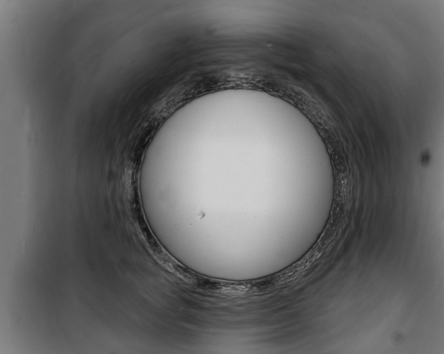 X0000100840757200806200738