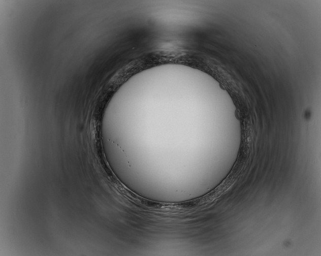 X0000100840758200806200738