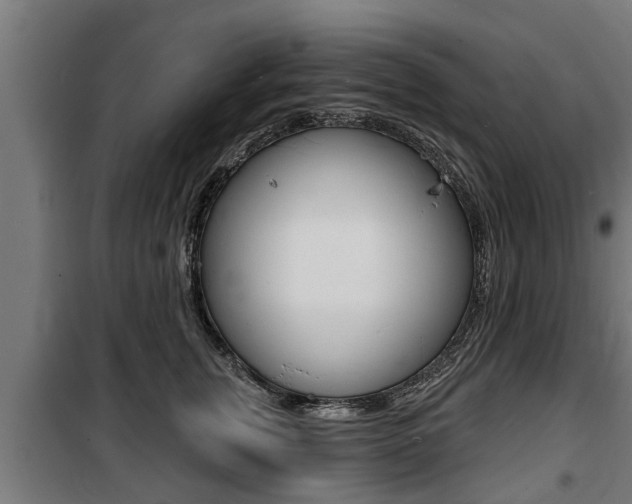 X0000100840759200806200738