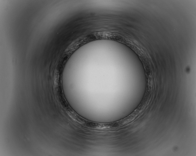 X0000100840760200806200738