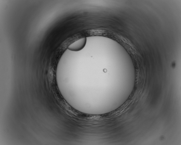 X0000100840761200806200738