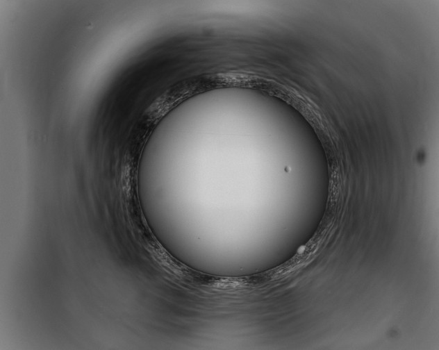 X0000100840762200806200738