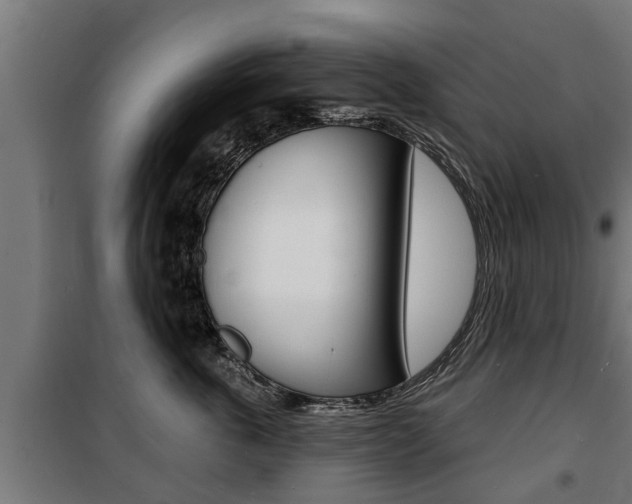 X0000100840763200806200738