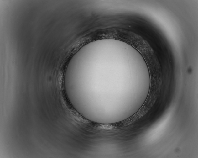 X0000100840767200806200738