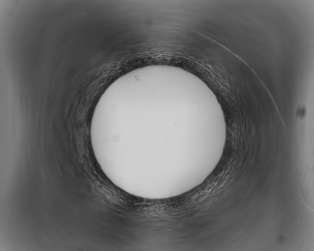 X0000100840769200806200737