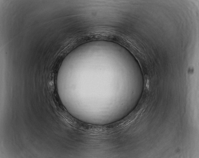 X0000100840771200806200737