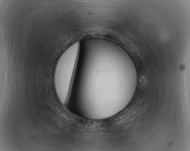 X0000100840772200806200737