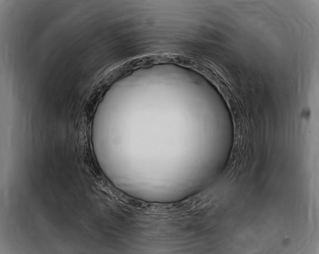 X0000100840773200806200737