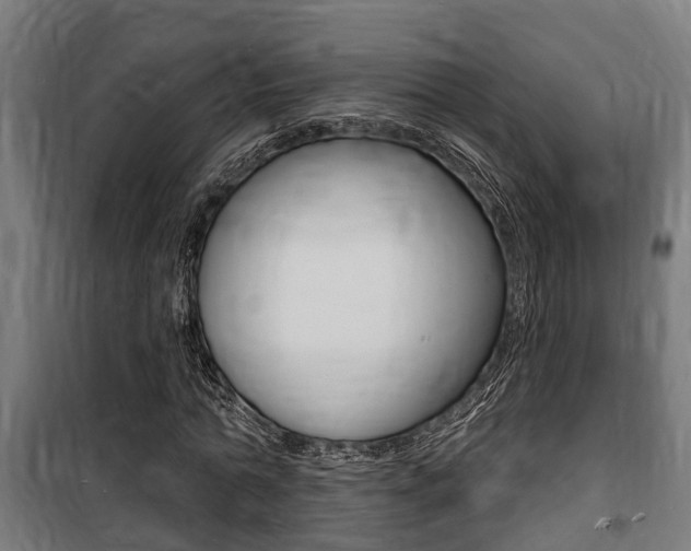 X0000100840774200806200737