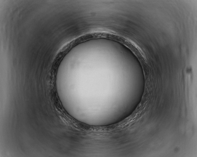 X0000100840775200806200737