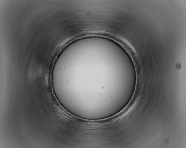 X0000100840777200806200737