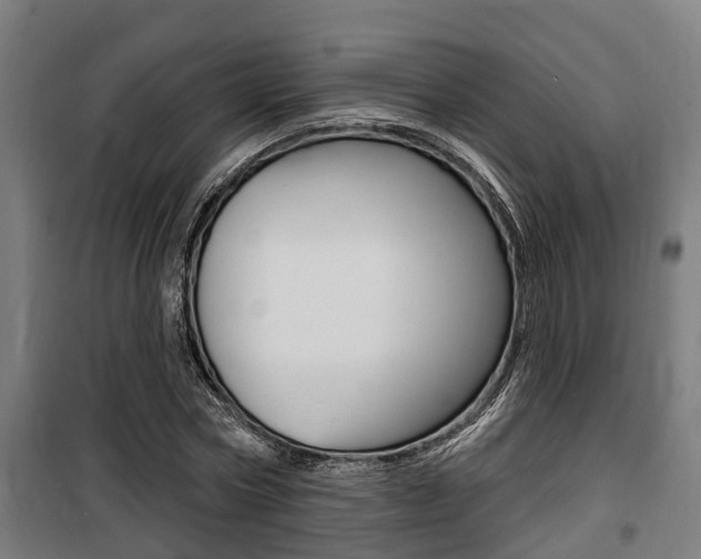 X0000100840778200806200737