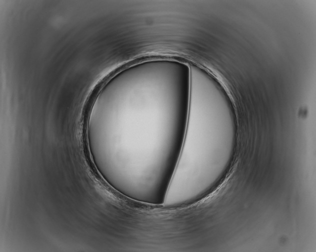 X0000100840779200806200737