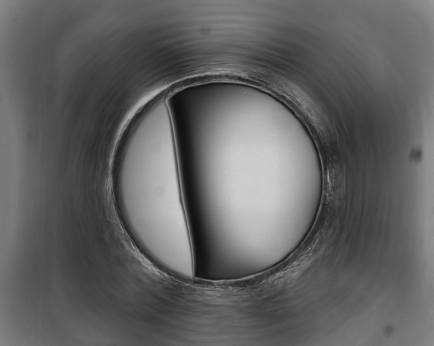 X0000100840780200806200737