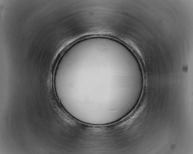 X0000100840781200806200737