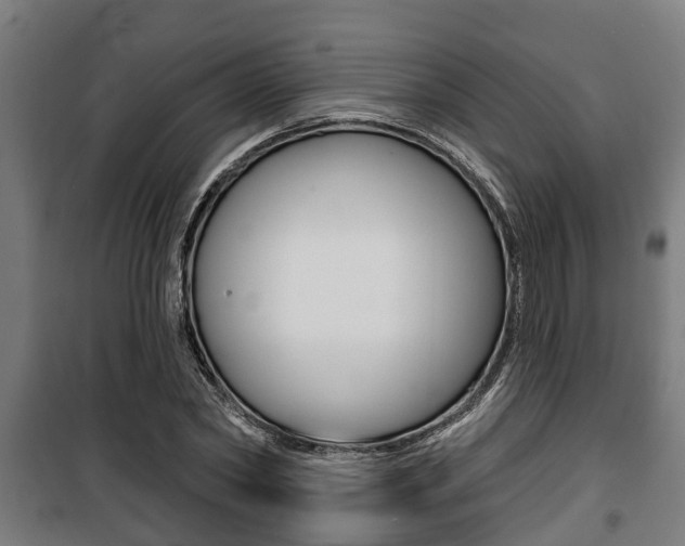 X0000100840782200806200737