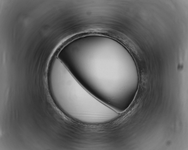 X0000100840784200806200737