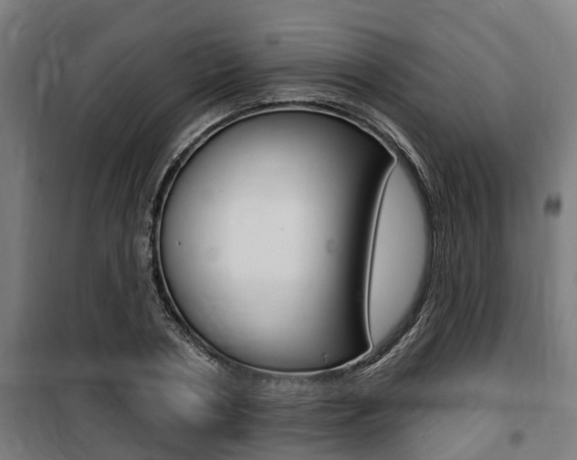 X0000100840786200806200737