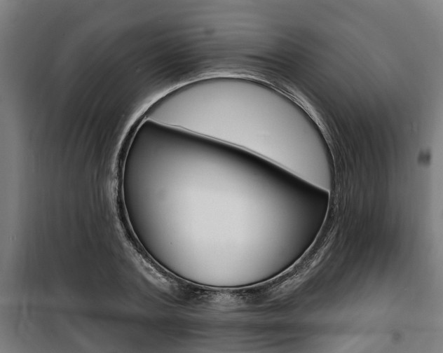 X0000100840787200806200737