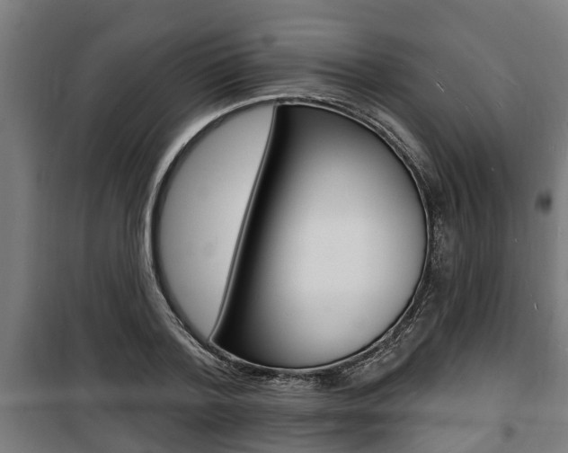 X0000100840788200806200737