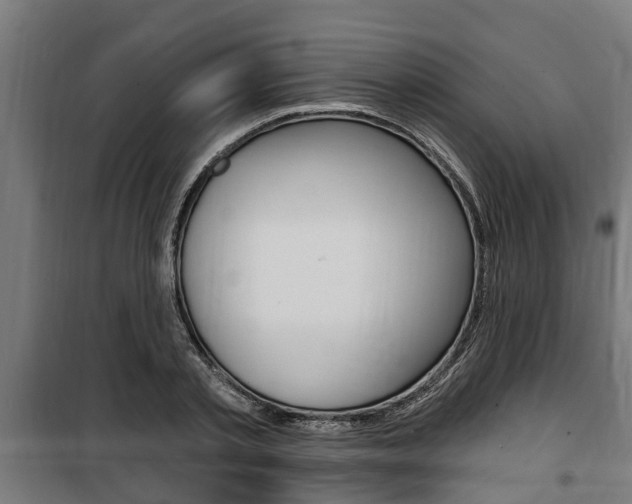 X0000100840789200806200737