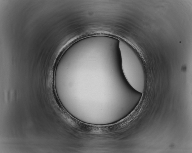 X0000100840790200806200737