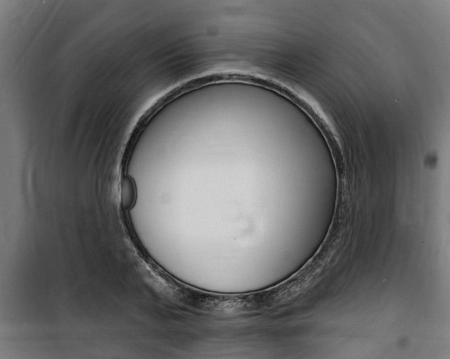 X0000100840791200806200737