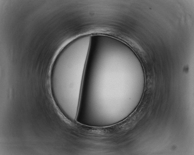 X0000100840792200806200737