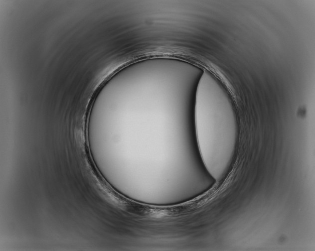 X0000100840794200806200737