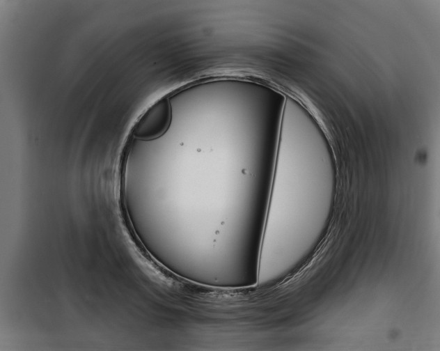 X0000100840795200806200737