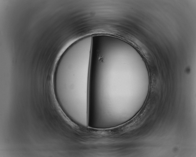 X0000100840796200806200737