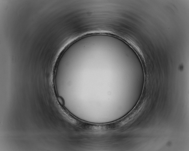 X0000100840797200806200737